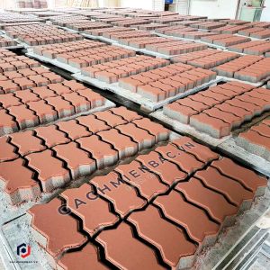 Gạch con sâu lát vỉa hè tự chèn màu đỏ tại nhà máy gạch Miền Bắc