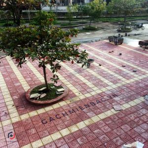 Công trình sử dụng Gạch lát terrazzo MB-1002 đỏ
