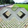 Gạch trồng cỏ 2 lỗ bóng