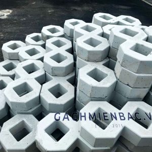 Gạch trồng cỏ 2 lỗ bóng chuẩn bị được lát