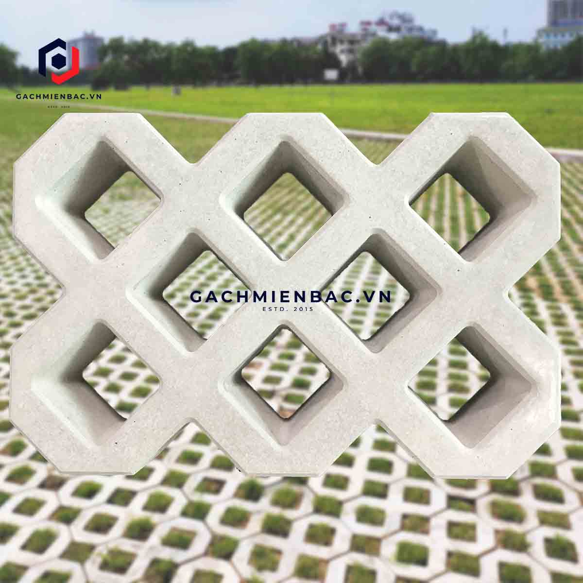 Gạch trồng cỏ 8 lỗ bóng