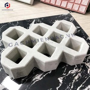 Gạch 8 lỗ trồng cỏ mặt bóng
