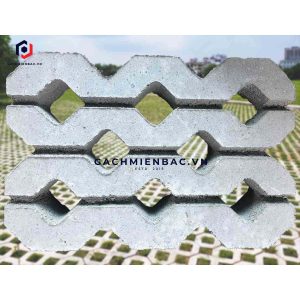 Gạch trồng cỏ 8 lỗ nhám