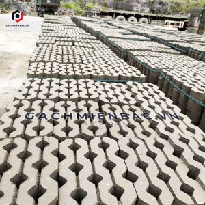 Gạch trồng cỏ 8 lỗ nhám tại nhà máy gạch Miền Bắc