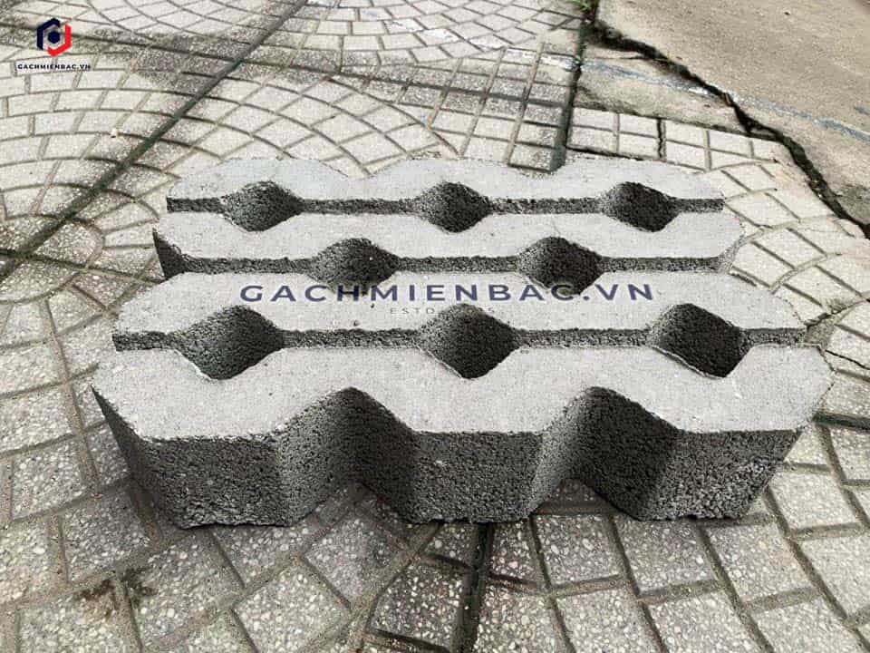 Gạch 8 lỗ trồng cỏ nhám