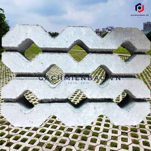 Gạch trồng cỏ 8 lỗ nhám