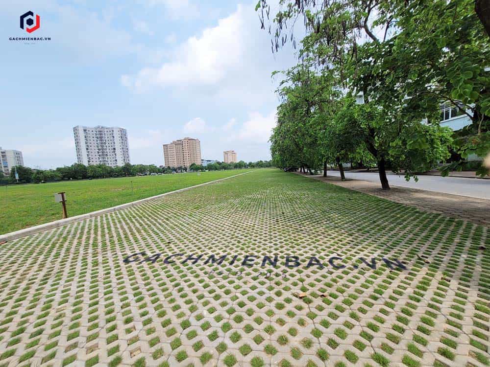 Gạch trồng cỏ lát vỉa hè, sân vườn, bãi đỗ xe