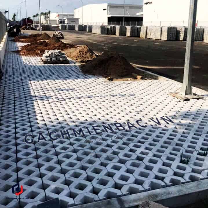 Gạch số 8 trồng cỏ bóng tại công trình