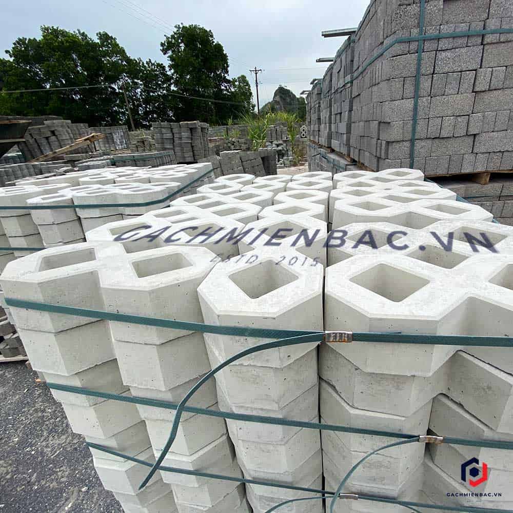 Gạch trồng cỏ số 8 bóng tại nhà máy gạch Miền Bắc