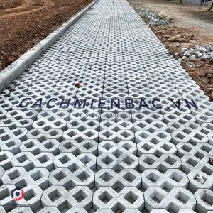 Gạch trồng cỏ số 8 bóng lát tại công trình
