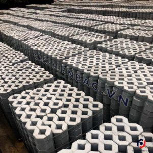 Gạch trồng cỏ số 8 nhám tại nhà máy gạch Miền Bắc